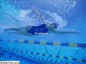 swimtime.in.ua