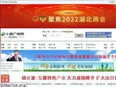 syiptv.com