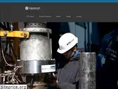 tde-group.com