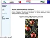 tpj.pl