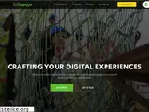 tringapps.com