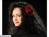 trixiedelight.com