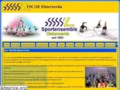 tsc-se.de