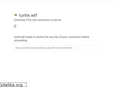 turtle.wtf