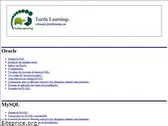 turtlelearning.com