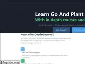 tutorialedge.net