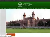 uaf.edu.pk