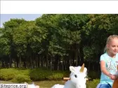 ufree-horse.com