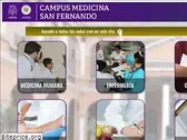 unmsm.online