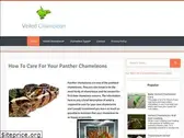 veiledchameleon.blogspot.com