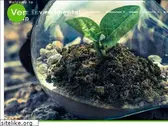 verde.ie