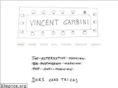 vincentgambini.com