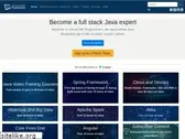 virtualpairprogrammers.com