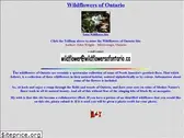 wildflowersofontario.ca