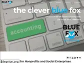 yourbluefox.com