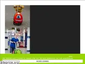 zincflyte.com