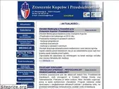 zkip.pl