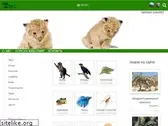 zoo-ekzo.ru